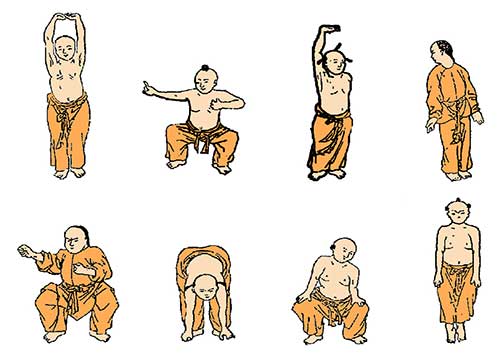 Cours de Qi Gong à Royan - Yin Tao